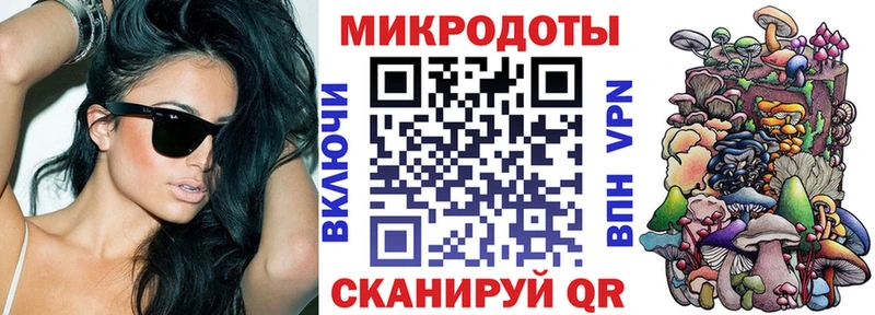 Псилоцибиновые грибы Psilocybe  Киржач 