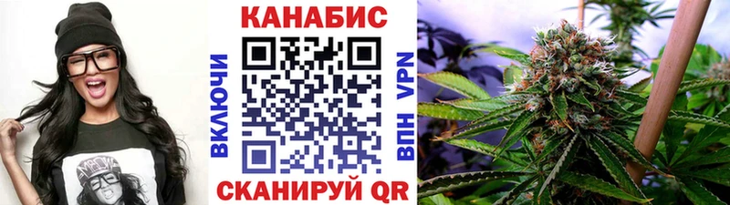 Каннабис сатива блэк спрут маркетплейс Киржач